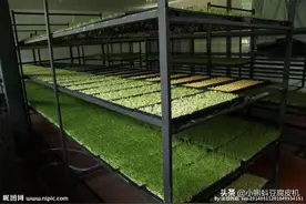 @河南小蝌蚪豆制品机械设备有限公司#豆腐机#豆干机#豆皮机图片