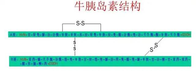 离诺贝尔奖最近的一次科技冲击