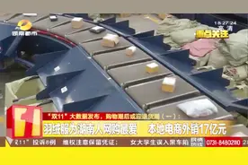 湖南“双11”大数据：本地电商外销17亿，羽绒服成本地人网购最爱视频封面