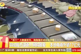 湖南“双11”大数据：本地电商外销17亿，羽绒服成本地人网购最爱视频封面