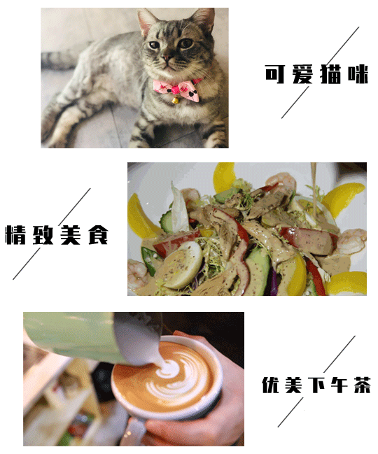 「十堰美食」藏在六堰广场的“秘密花园”,在十堰找不到第二家了