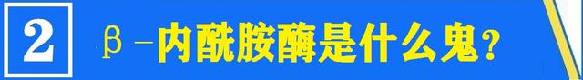 舌尖上的安全（8）——解读牛奶中的β-内酰胺酶