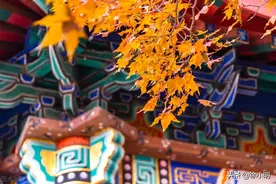 徐小明：日线序列低9图片