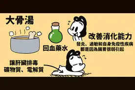 15个让狗狗健康的超级食物（狗狗暖知识）图片