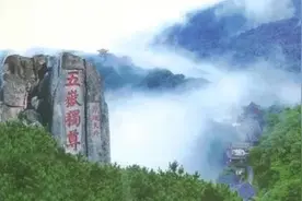 你知道的泰山四大名药有没有灵芝？图片