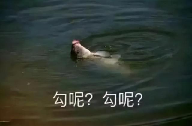 ��������Ҳ�ھ����µĲƸ������ǡ����ء�+����˿��