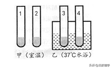「中考·生物」冲刺中考，初中生物100道高频易错题！附答案~