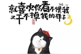 华为：我就喜欢你看我不顺眼，又干不掉我的样子图片