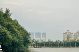 太高估的关系，是一场灾难图片