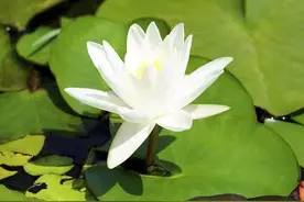 常常一个人崩溃，又常常一个人自愈：成年人的世界不过如此图片