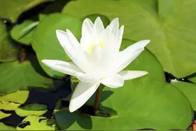 常常一个人崩溃，又常常一个人自愈：成年人的世界不过如此图片
