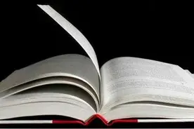 评莫言"文学作品永远不是唱赞歌的工具"图片