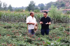 90后小伙在贫困县直播卖辣椒酱，赚了120万还带动老乡脱贫图片