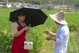 乡村振兴剧场《遇见好人》剧情简介②图片