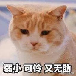 结婚时手臂鸡皮肤