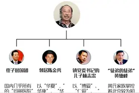 带你认清莆田系四大家族图片