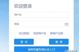 输入姓名查询社保缴费明细图片
