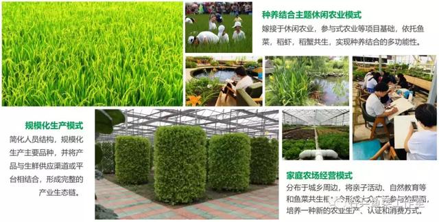 鱼菜共生的痛点—技术