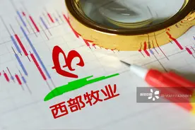 西部牧业推8.7亿关联重组谋脱困 业绩欠佳11年累亏2.6亿图片