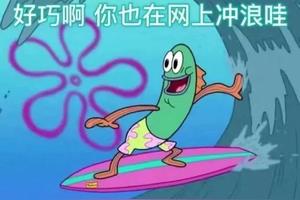 盘点00后大学生网络流行语，还有什么是你不知道的梗?图