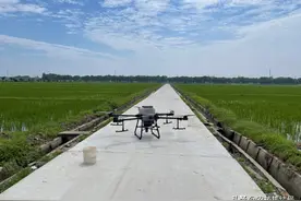 水稻田使用除草剂，先排水，再回水？怎样做除草效果才最好图片