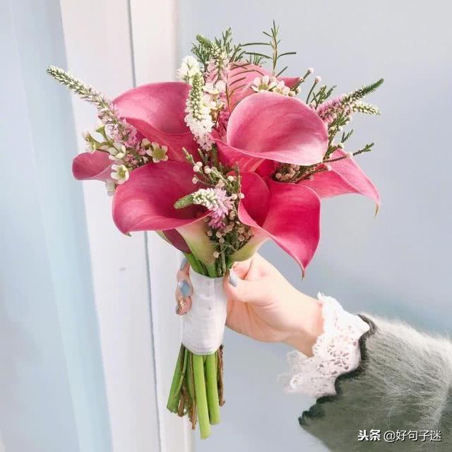 暖心撩人的小句子,甜蜜深情,你肯定喜欢(朋友圈情话最暖心短句文案)
