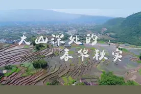 航拍江安丨大山深处的春华秋实图片