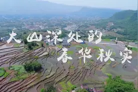 航拍江安丨大山深处的春华秋实图片