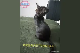 吹水不擦嘴！图片