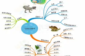 思维导图统编版4年级“飞向蓝天的恐龙-纳米技术就在我们身边-千图片