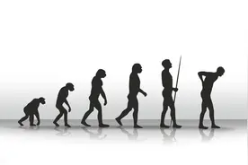 中国古代历史的发展线索图片