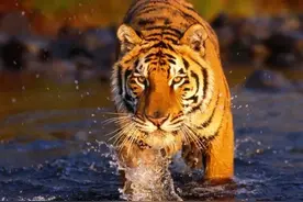 你知道什么人最可怕吗？图片