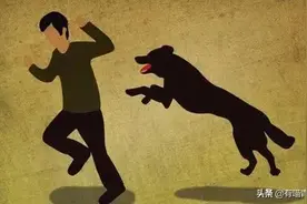 不小心被猫抓伤，我会得狂犬病吗？图片