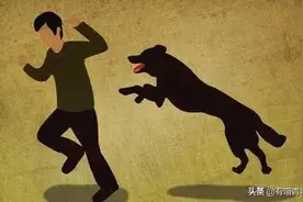 不小心被猫抓伤，我会得狂犬病吗？图片