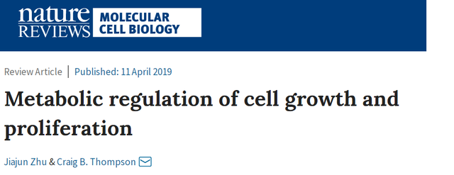 代谢调控与细胞增殖