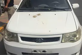 临牌没过期 拿到金属号牌必须挂好！图片