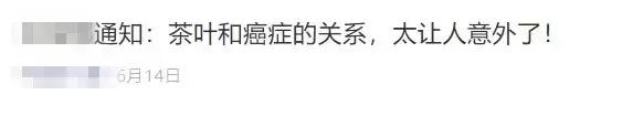 关于茶叶的这些流言都是假的，很多人还信以为真…