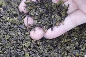 过期的茶叶还能喝吗？我是今天才知道，多亏茶叶店老板告知，实用图片