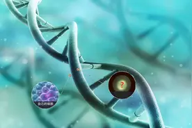 奇美拉现象 - 你身体中可能存在着另一个人？图片