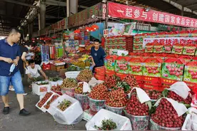 广东深圳：荔枝迎丰产 市民选购忙图片