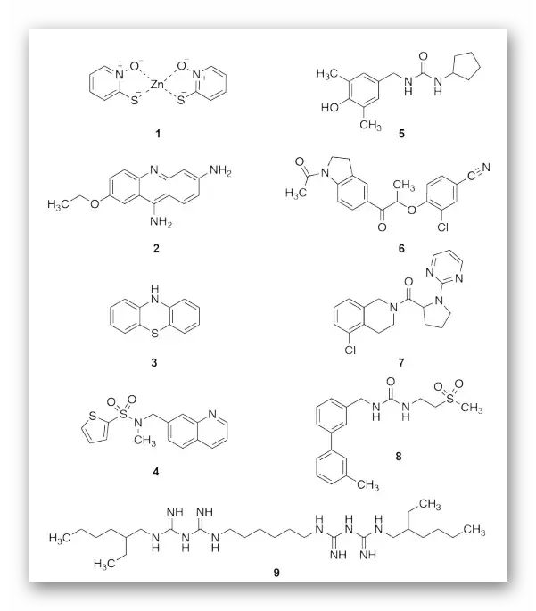 NC丨理性设计抗卡波氏肉瘤vFLIP-NEMO蛋白-蛋白相互作用抑制剂