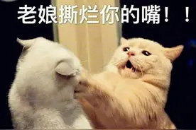 八省联考是一种什么体验？文科生当理科生，理科生当华罗庚图片