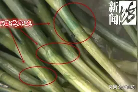 沪上这些菜场全面下架"染色葱"！蓝色物质究竟是啥？检测报告来了图片