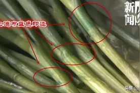 沪上这些菜场全面下架"染色葱"！蓝色物质究竟是啥？检测报告来了图片