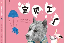 动物是如何孕育宝宝的？宝贝工厂告诉你答案图片