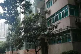 学党史 惠民生 碑林区老旧小区“改”出百姓美好生活 焕发城市新活力图片