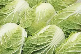 又到了吃大白菜的季节了，这些讲究一定要知道图片