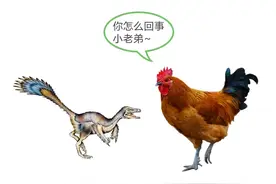 汽车一样重的恐龙如何孵蛋，它会一屁股把蛋压坏吗？图片