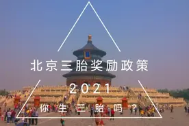 专家：只要生了三个孩子，每月奖励5000元。这是什么意思？图片