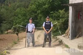 四川咬死三人黑熊或系下山觅食 律师：可向当地林业部门申请补偿图片